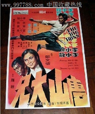 t-作假驾照